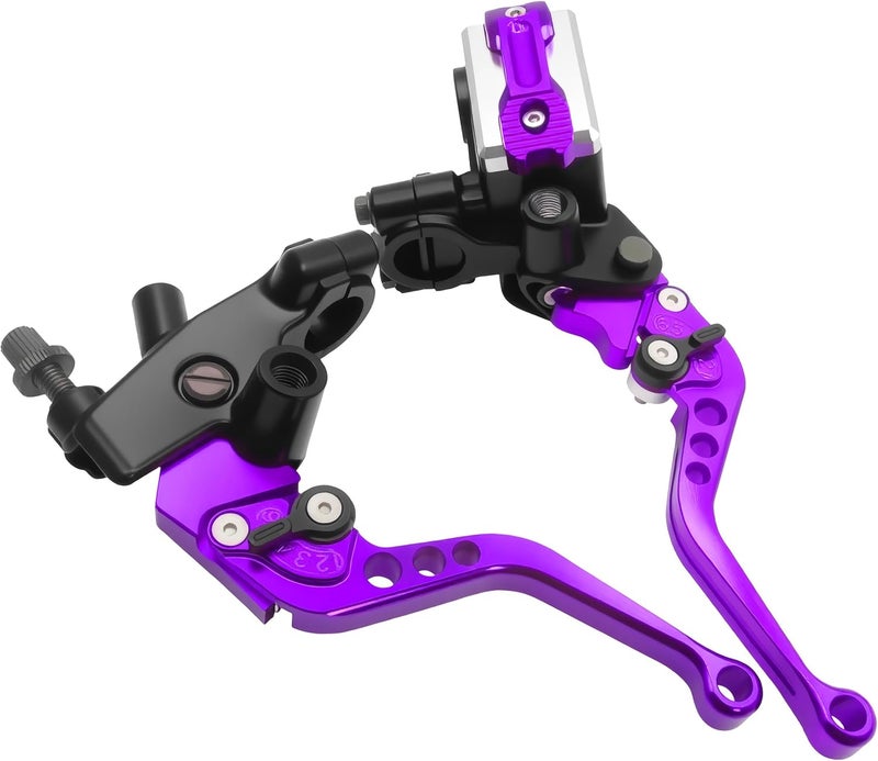 JXPANG أسطوانة فرامل مقبض دراجة نارية عالمي 7/8" 22 مم مع ذراع القابض CNC مجموعة يسار ويمين متوافقة مع هارلي هوندا كاواساكي سوزوكي ياماها (قطر المكبس 12.7 مم (أرجواني)) - Image 1